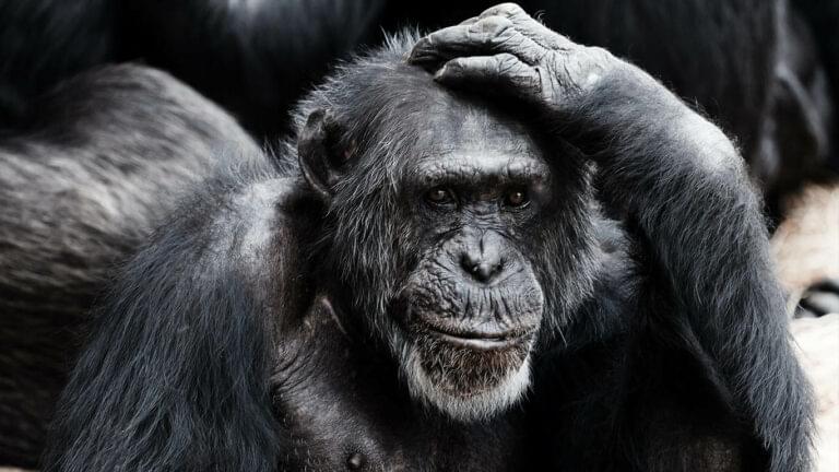 Domēns-un-domēna-vārda-izvēle-768x432