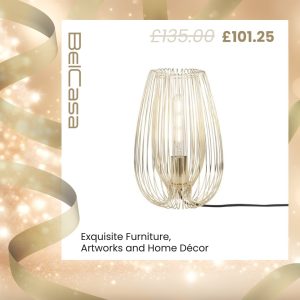 482344215_616954757900604_5439020035192029612_n