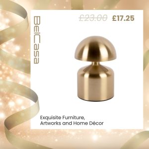 483659514_616954457900634_275751621023531589_n